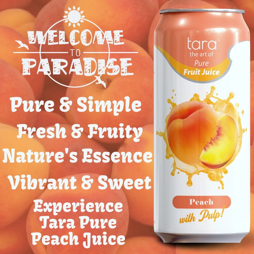 Tara Pure Fruit Juice With Pulp, Mango, 16.9 fl.oz (12 Pack)