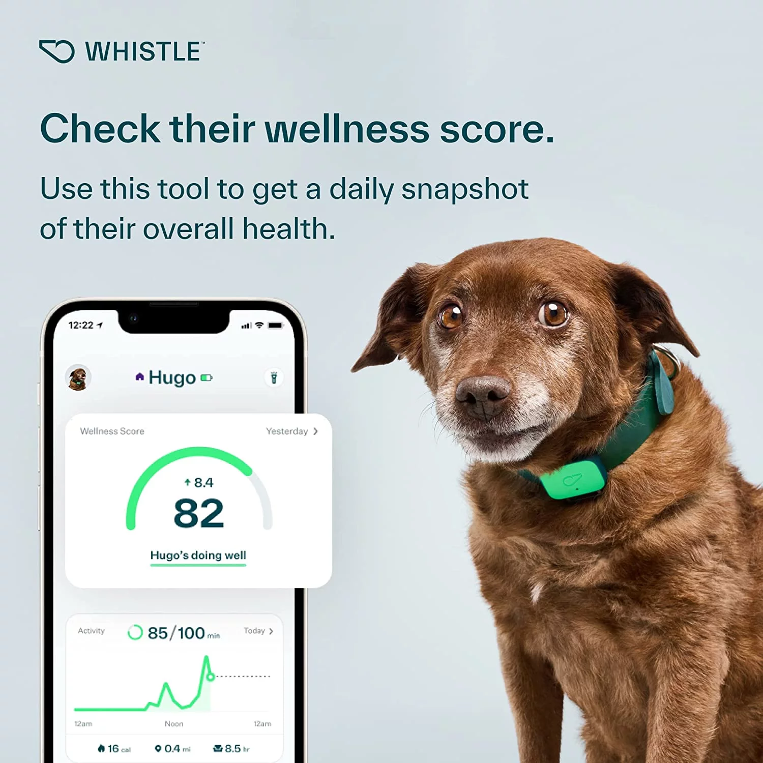 Whistle Health Smart Device | Dog Health and Fitness Tracker