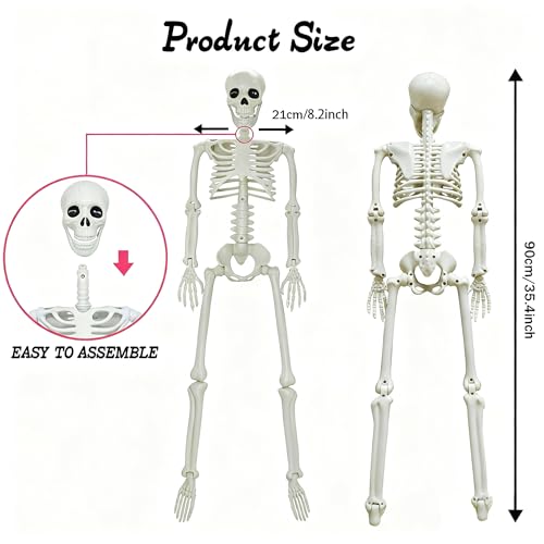 LUKBERA Posable Halloween Skeletons, 1Pcs 5.9ft Life Size Human Skeleton with Movable Joints for Halloween Haunted House Decoration