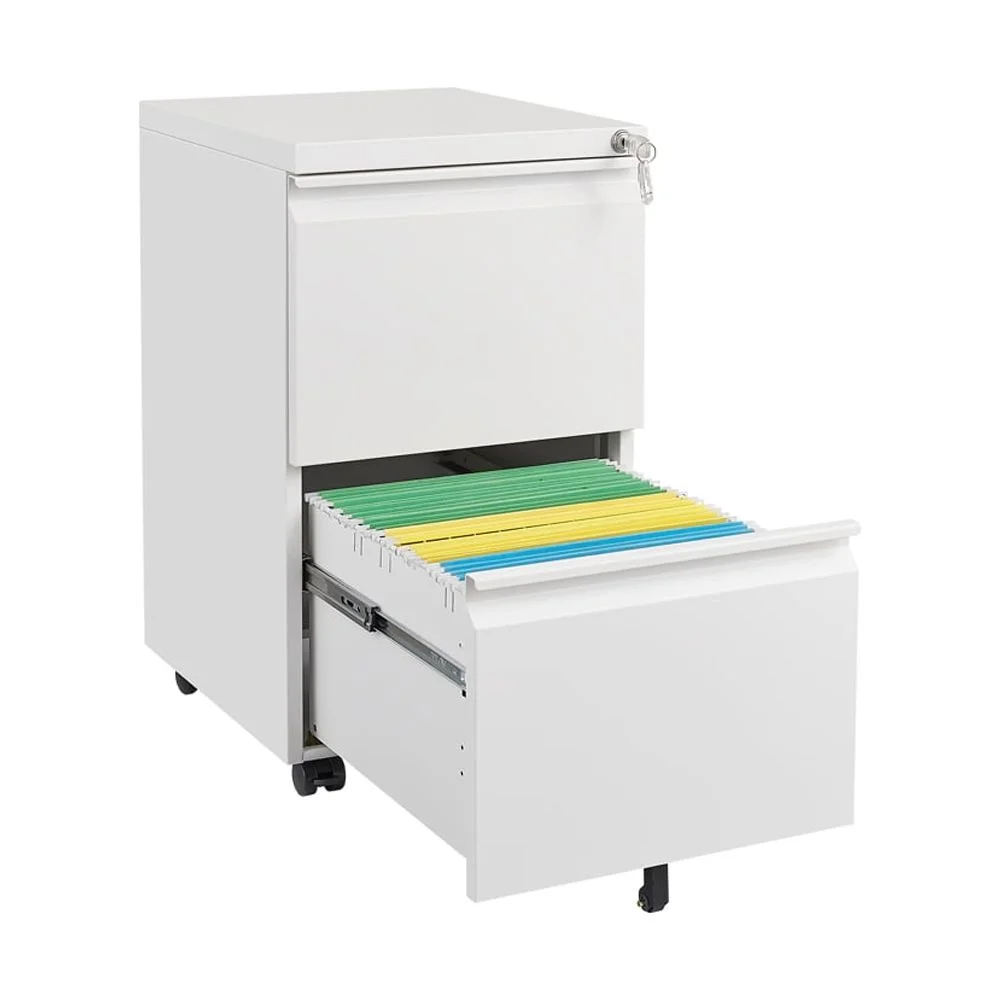 Yone jx je Metal 2 Drawer Mobile File Cabinet with Lock, Under Desk Office Steel Filing Cabinet, 25.6''H Legal/Letter Size Files Storage Cabinet,Black