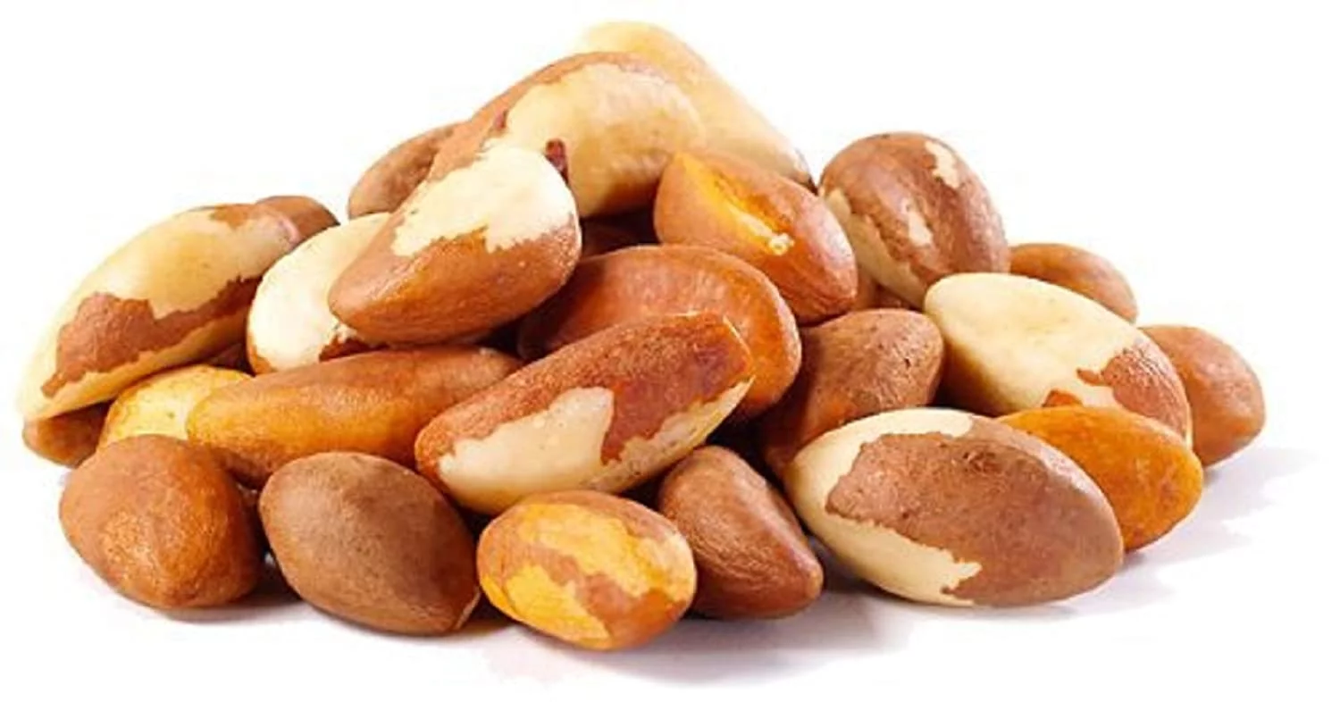 Dry Roasted Brazil Nuts Salted (25 Lbs.) | Farm Fresh Nuts Brand