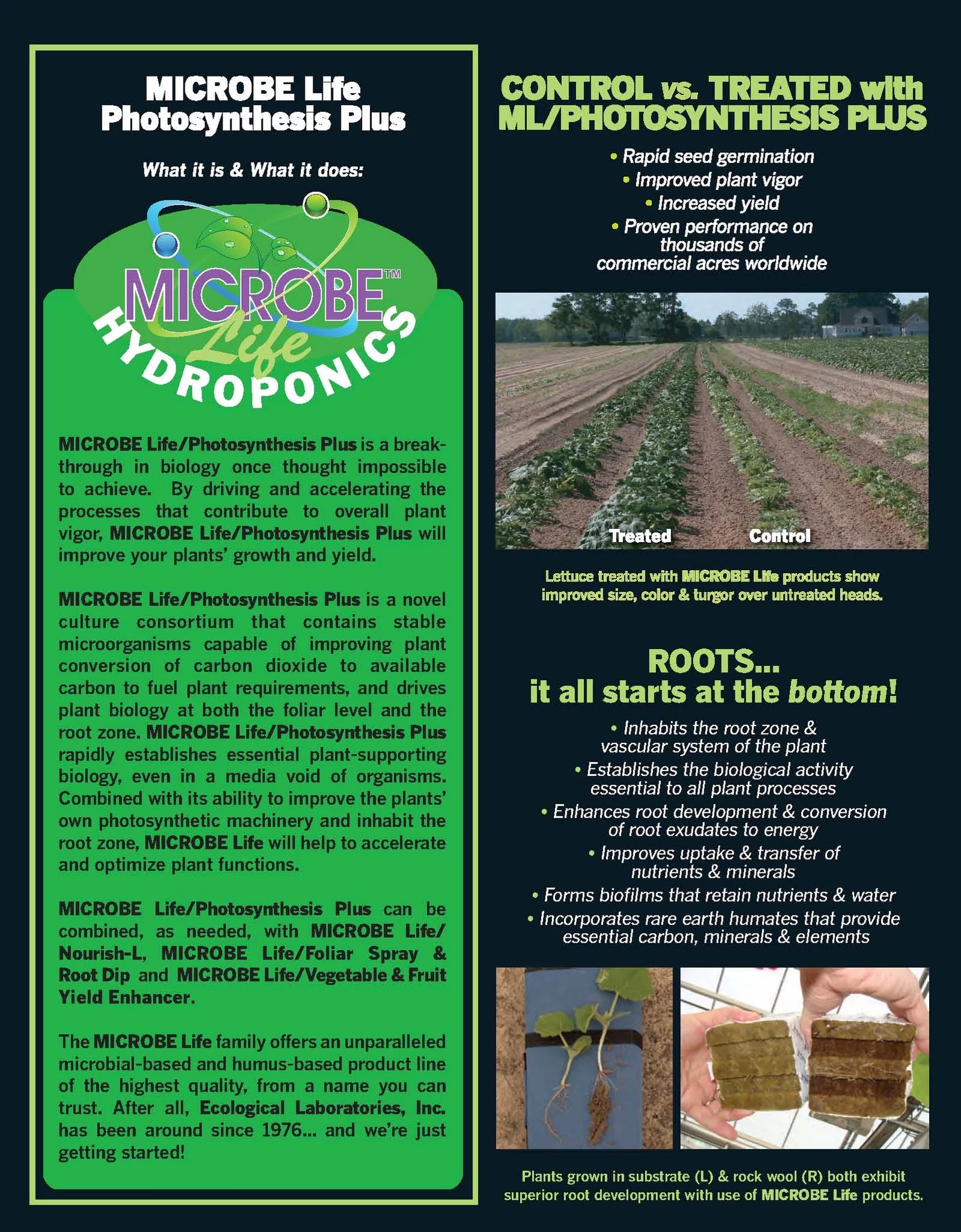 Microbe Life Photosynthesis Plus Pint