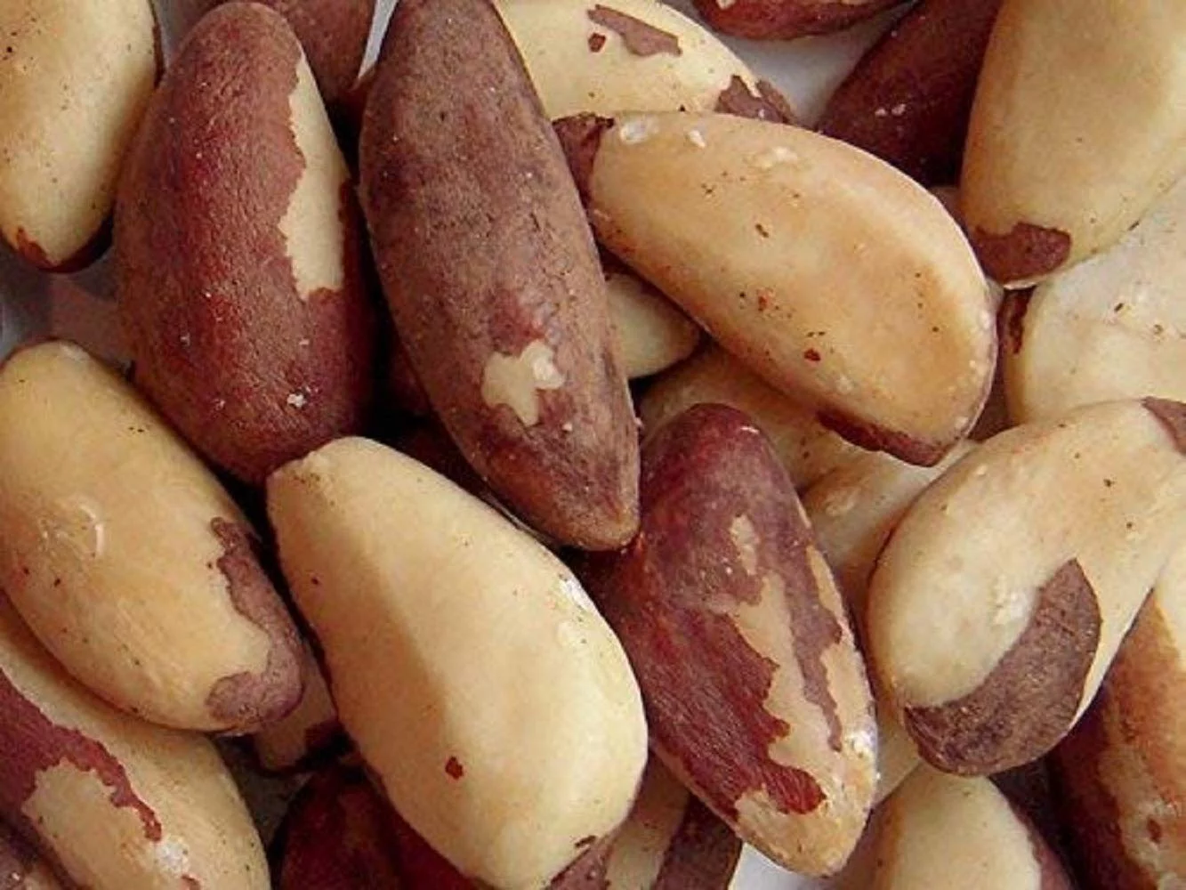 Raw Brazil Nuts