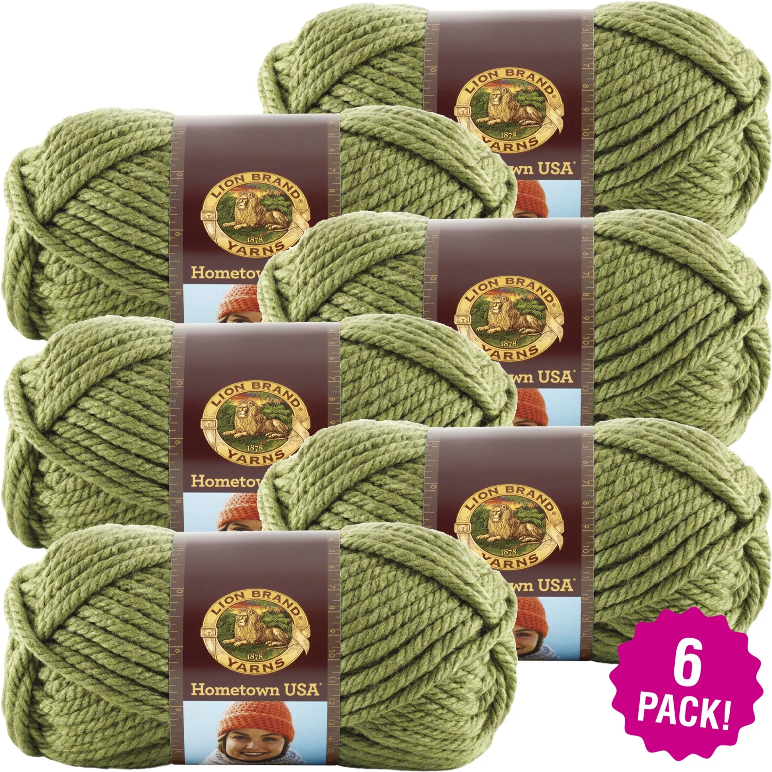 Lion Brand Hometown USA Yarn - Oklahoma City Green, Multipack of 6