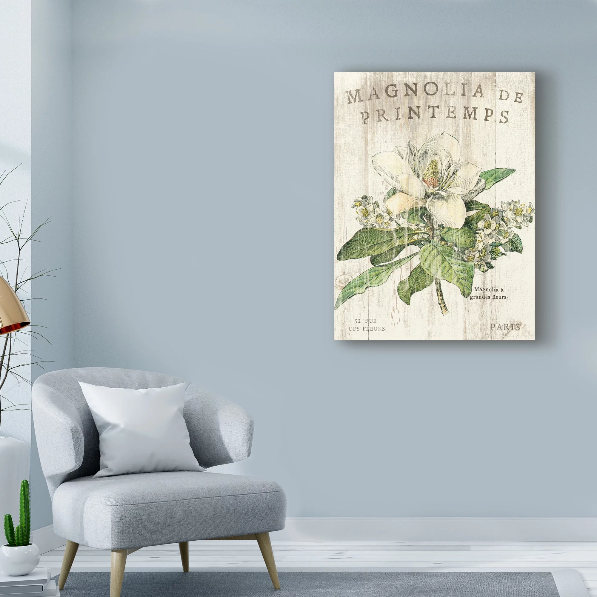 Trademark Fine Art 'Magnolia de Printemps' Canvas Art by Sue Schlabach