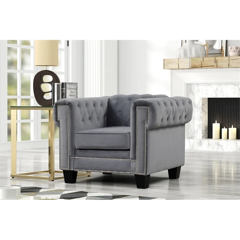 Rnfurnishings inc Arav 2-Piece Living Room Furniture Velvet fabric Set-Gray