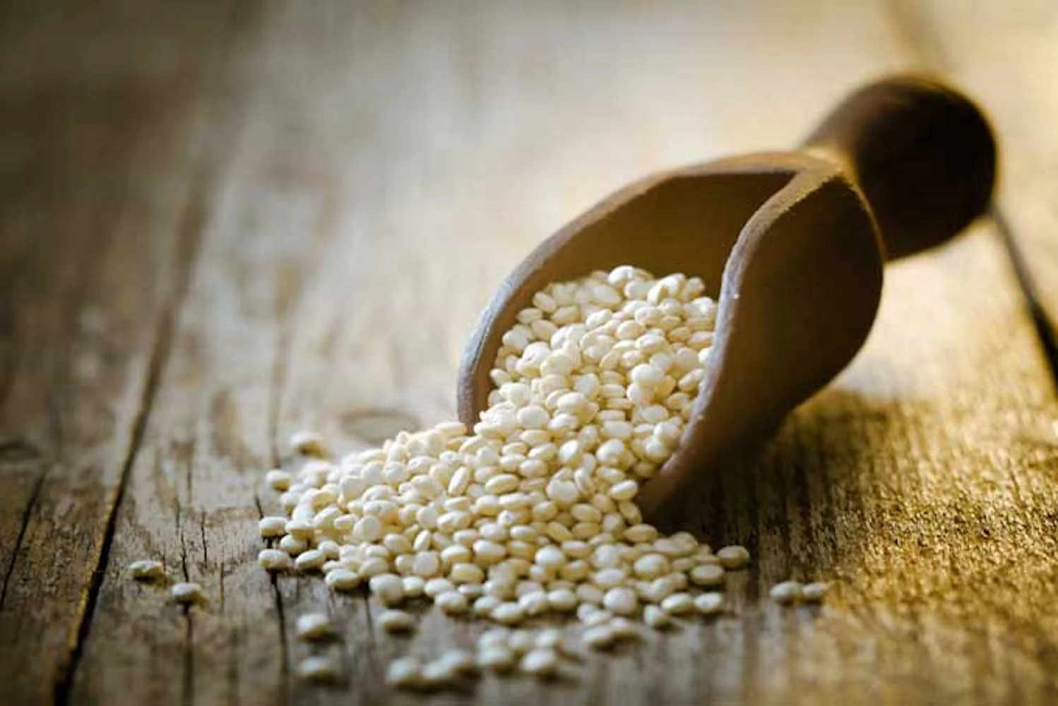 Bulk White Quinoa Seeds 5 Pound Wholesale Box