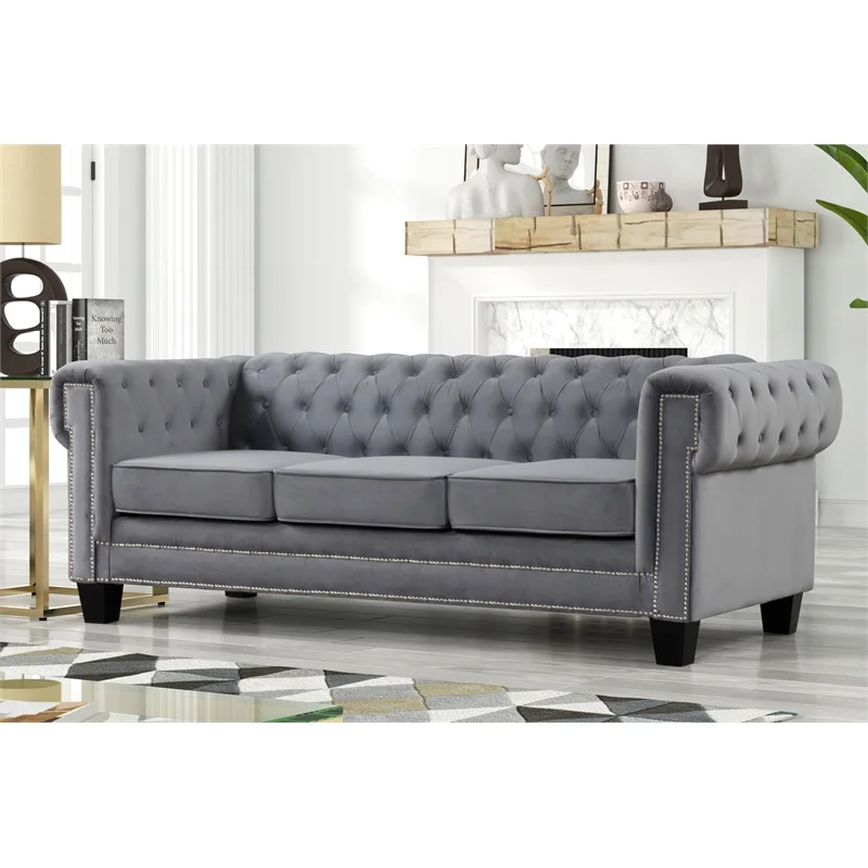 Rnfurnishings inc Arav 2-Piece Living Room Furniture Velvet fabric Set-Gray