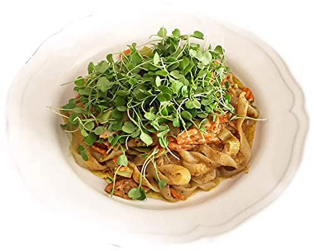 Miracle Noodle Fettuccine Shirataki Noodles - Ready-To-Eat,Plant Based Konjac Noodles Fettucine,Keto Fettuccine,Vegan,Gluten-Free,Low Carb Pasta,Low Calorie Pasta, Non-GMO, SoyFree, Paleo - 7Oz,6-Pack