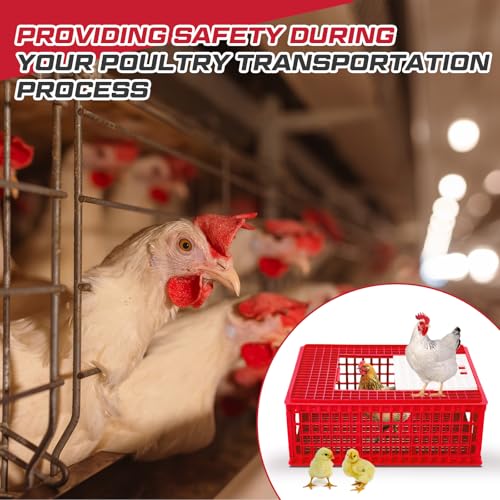 2 Pcs Poultry Carrier Crate 3 Door Chicken Transport Cage Plastic Poultry Carrier Basket Box for Chicken Duck Goose Birds, 29.53 x 21.65 x 11.42 Inch(Blue)