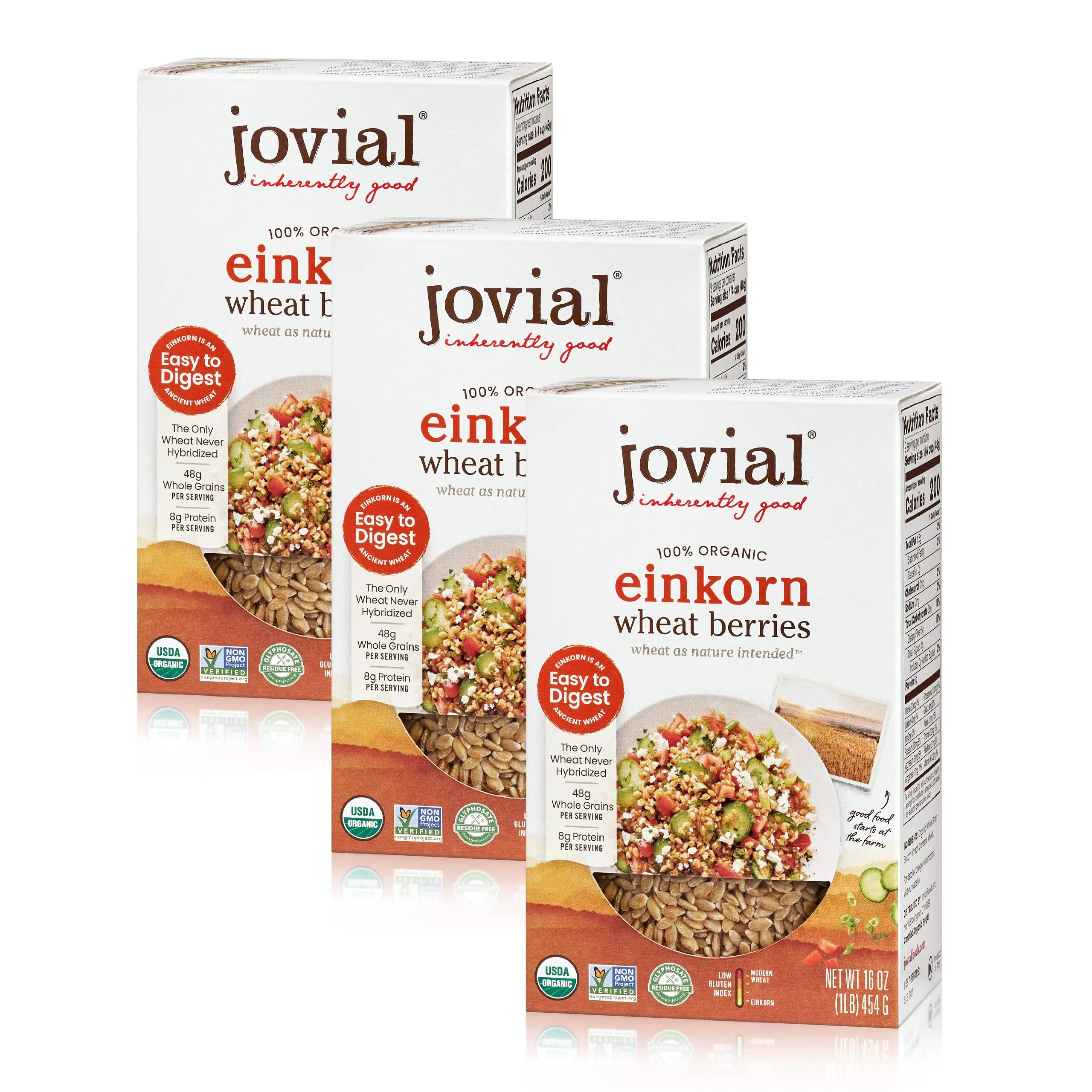 Jovial Einkorn 100% Organic Wheat Berries - Einkorn Berries, Organic Wheat Berries, High Protein, Non-Gmo, Usda Certified Organic, Lower Carb, Whole Grain, Product Of Italy - 16 Oz, 3 Pack