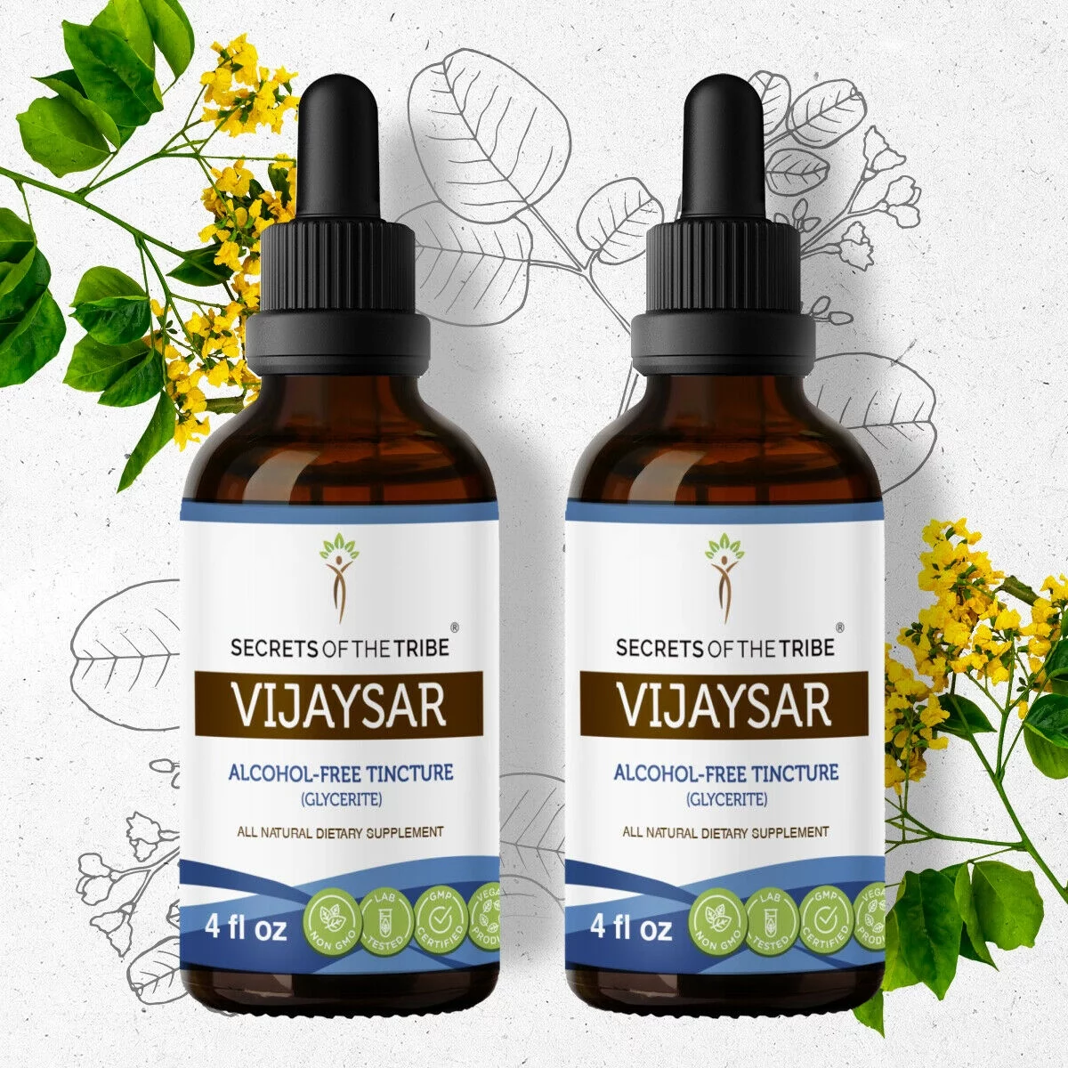 Vijaysar Tincture Alcohol-FREE Extract, Wildcrafted Vijaysar Indian Kino, Pterocarpus marsupium Healthy Blood Sugar Levels 2x4 oz
