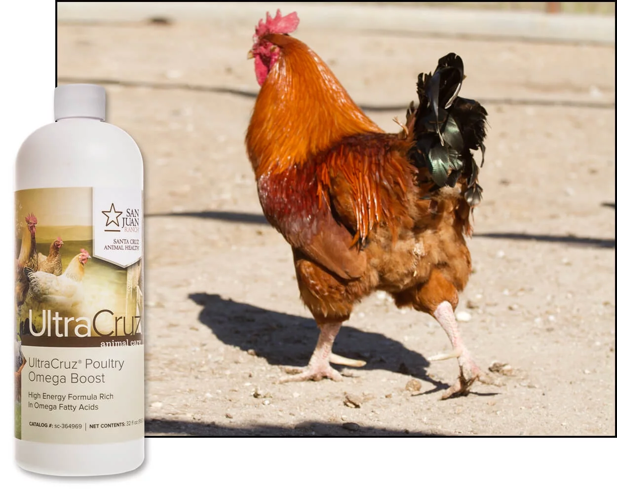 UltraCruz Poultry Omega Boost Supplement, 32 oz
