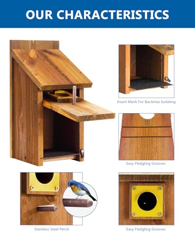 2pk Large Bluebird House for Outdoor - Extra High Size, with Perch, Mesh Base & Brass Guard - Cedar Birdhouse for Bluebirds, Finches, Swallows Carbonized Finished 5 Years Usage 6