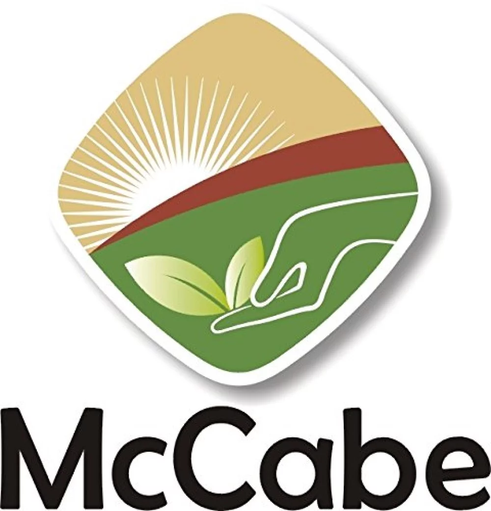 McCabe Whole Oat Flour - White | Rich with Fiber & Minerals | USDA and CCOF Certified | Product of USA | 2Lbs