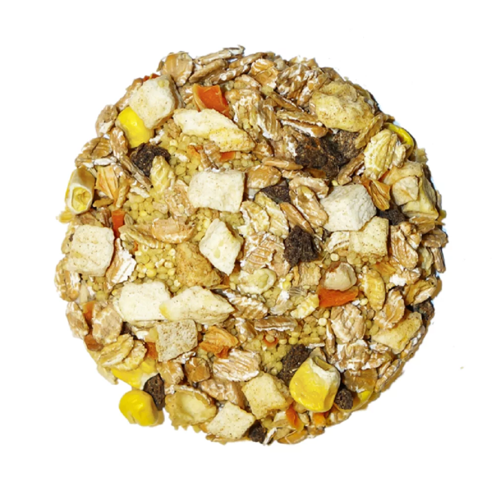 Tropical Feast on the Fly Bird Street Bistro Natural Parrot Food