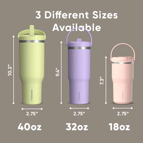 Hydrapeak Nomad 24 oz Tumbler with Handle and Straw Lid, Leakproof, Double Insulated, 24oz Cup Stainless Steel (Blush)
