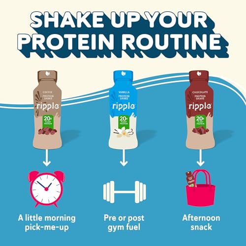 Ripple Vegan Protein Shake | Chocolate | 20g Nutritious Plant Based Pea Protein | Shelf Stable | No GMOs, Soy, Nut, Gluten, Lactose | 12 Oz, 12 Pack