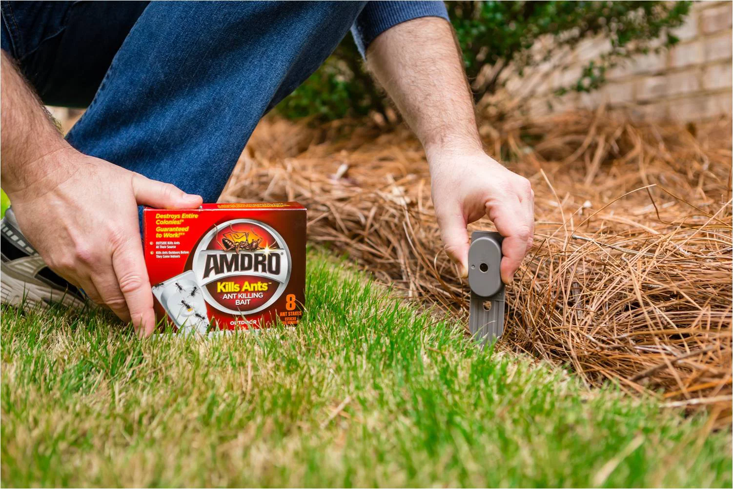 Amdro Ant Killing Ant Bait, For Indoor and Outdoor Use, 8 Stakes