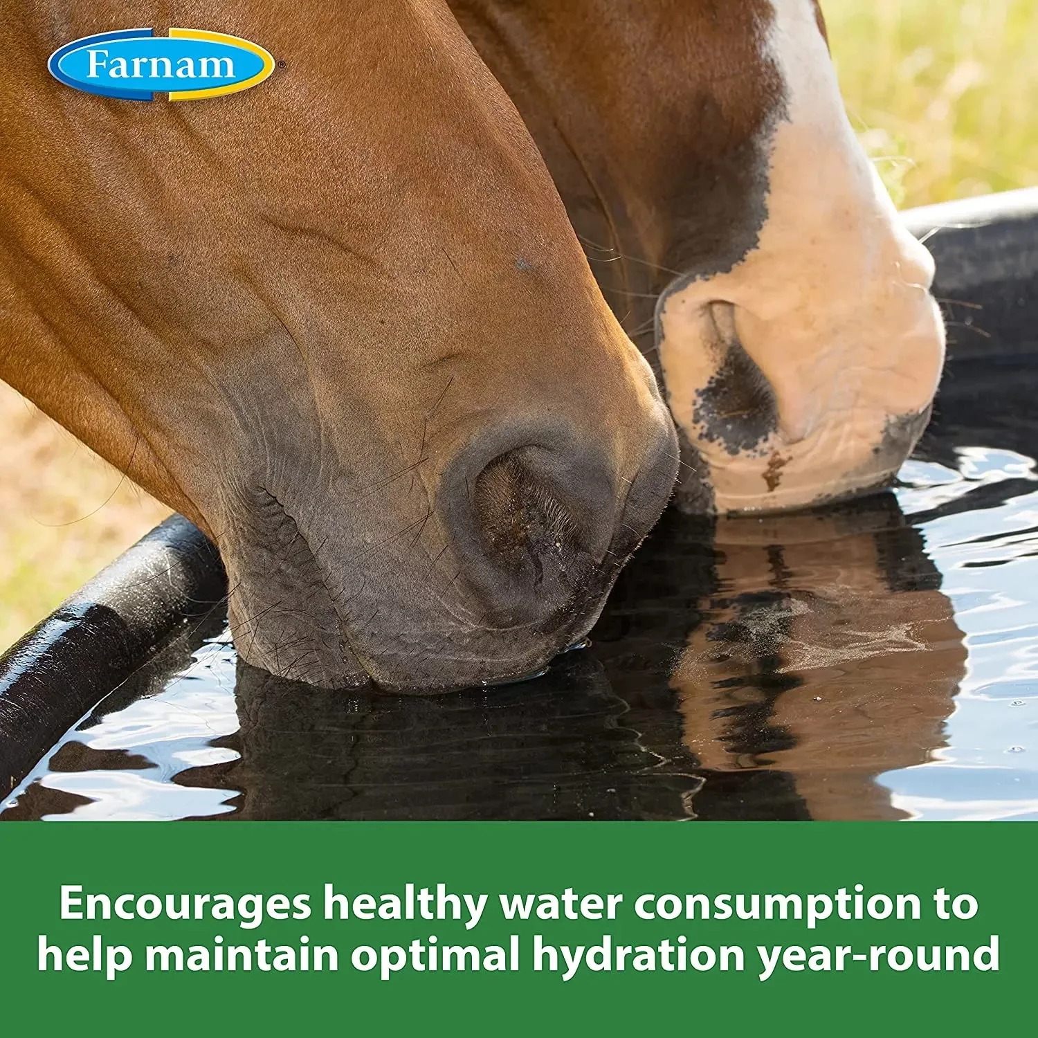 Farnam Apple Elite Electrolyte Pellets 7.5 Pounds, 40 Day Supply