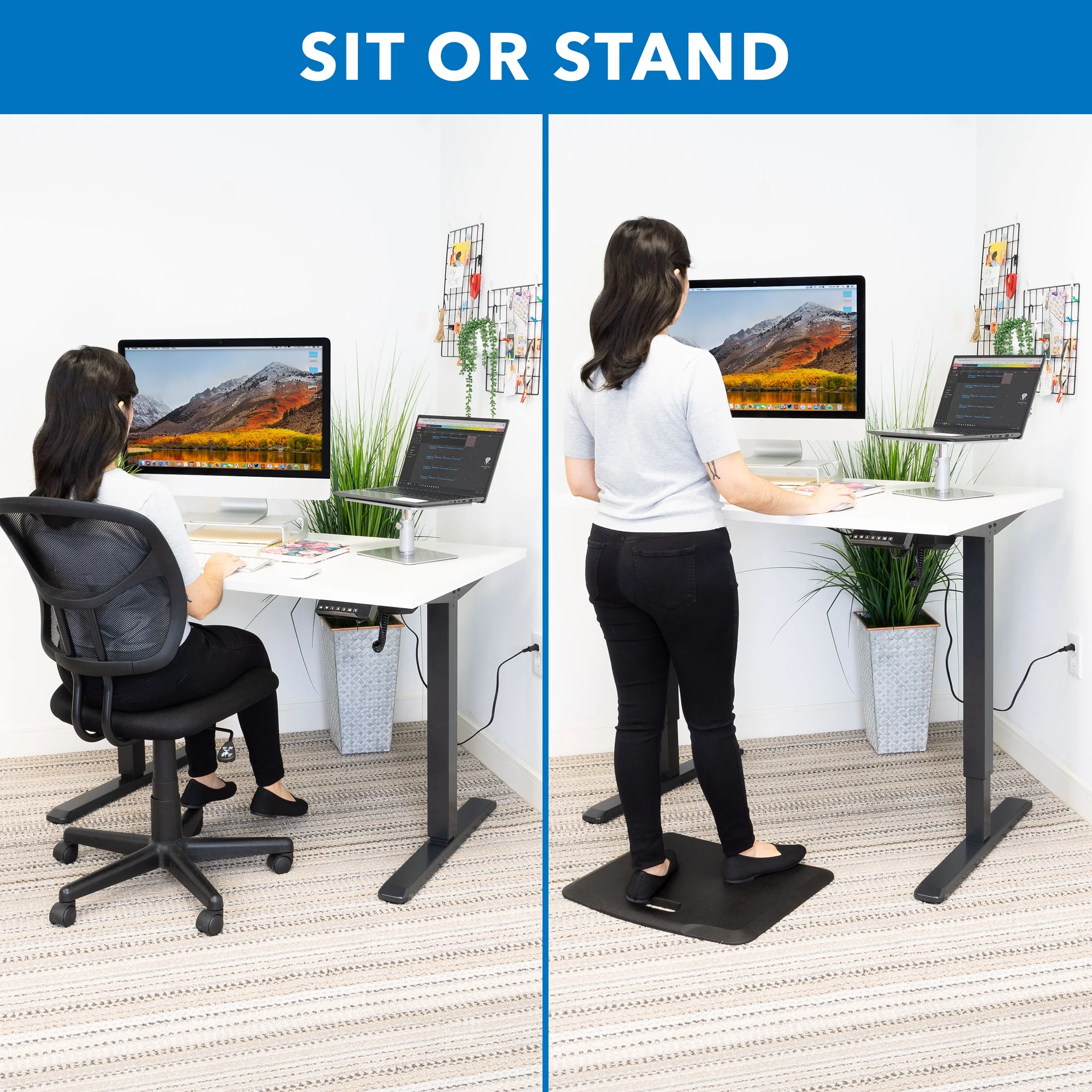 Mount-It! Electric Sit-Stand Desk with Tabletop, Maple, Ergonomic