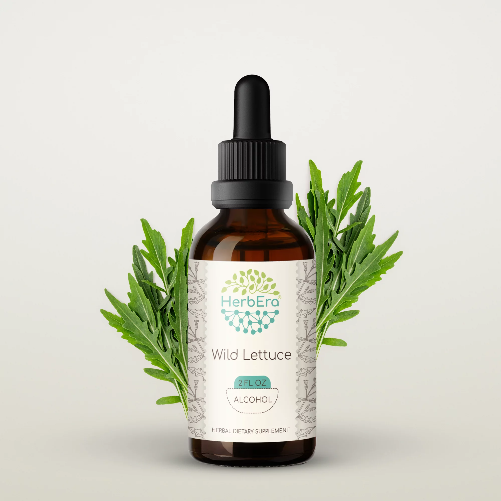 Wild Lettuce Alcohol Herbal Extract Tincture, Super-Concentrated Organic Wild Lettuce (Lactuca virosa) Dried Herb 2 oz