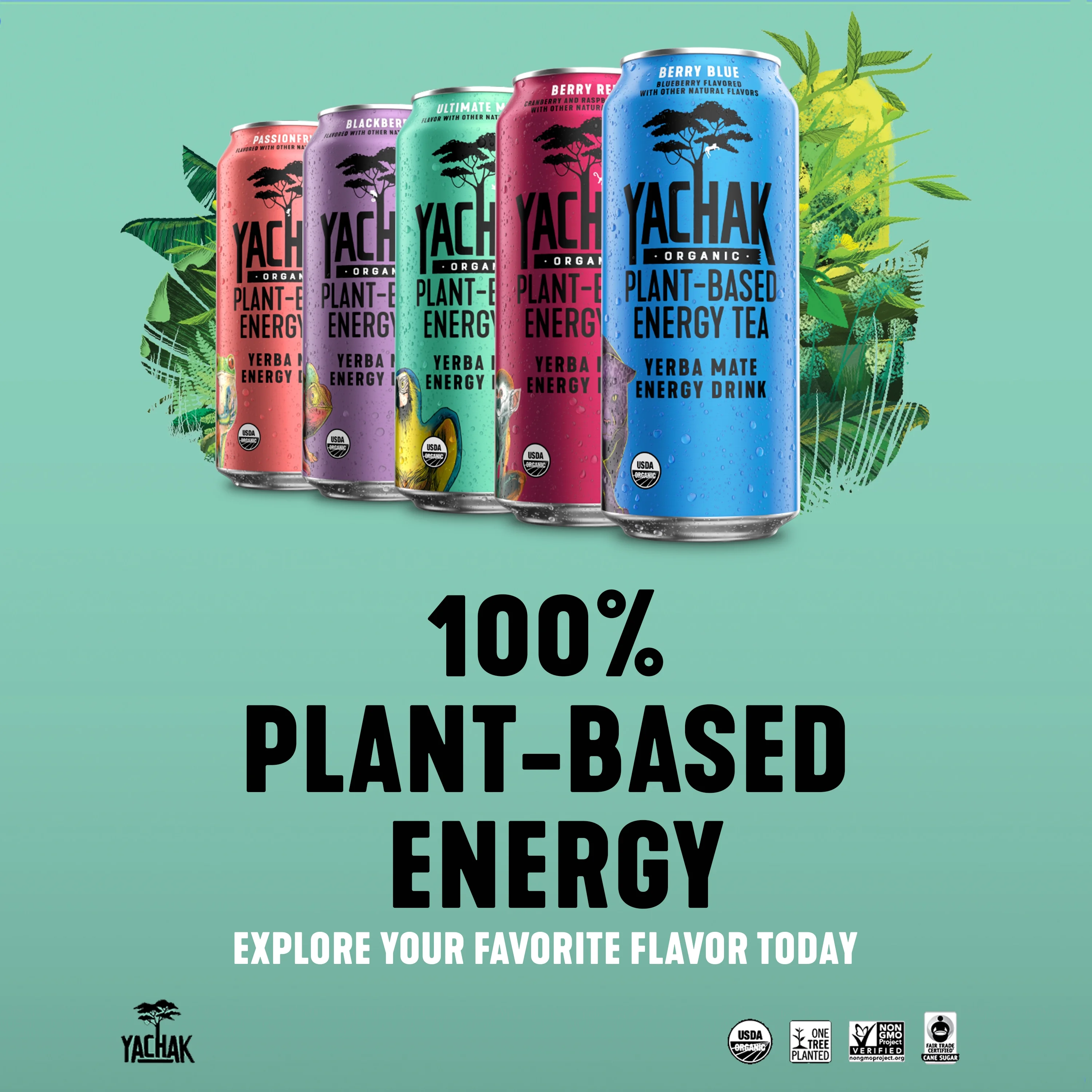 Yachak Yerba Mate Drink, Berry Red, 16 fl oz, 12 Pack Cans