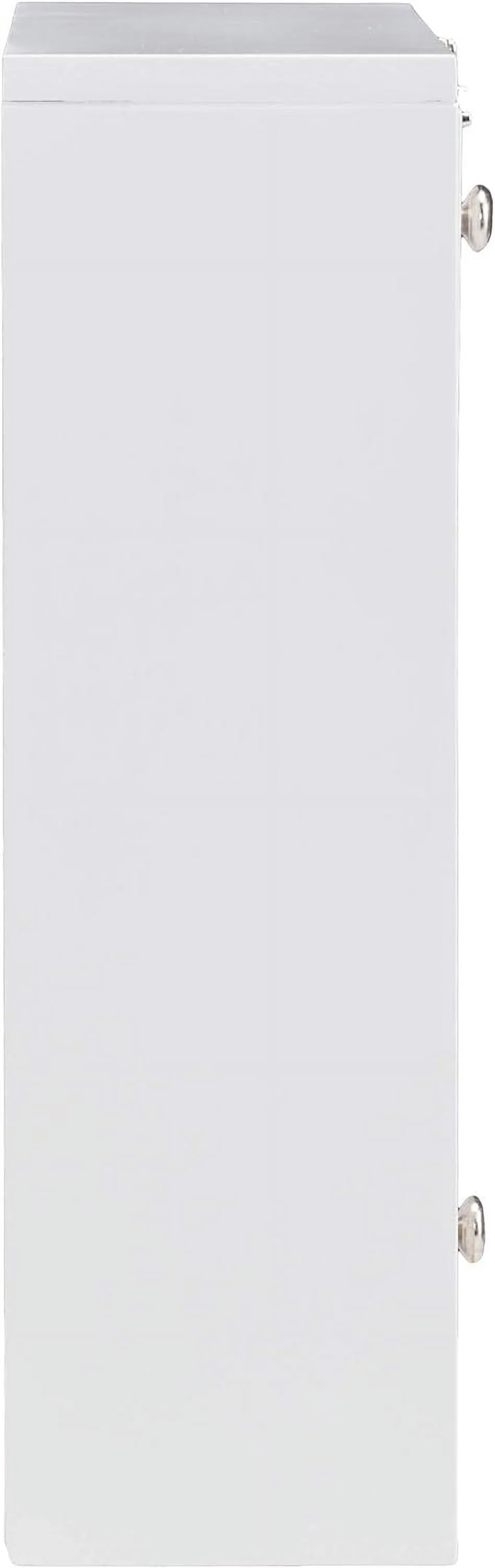 Willingham Wall Mount Folding Desk, White