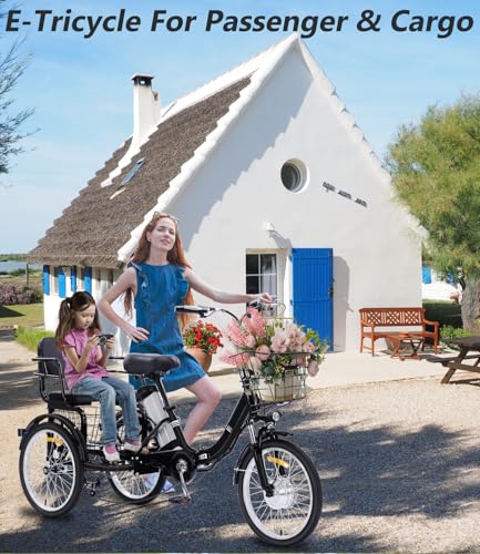 Electric Tricycle for Adults, Peak 750W/500W, Electric Trike, 20