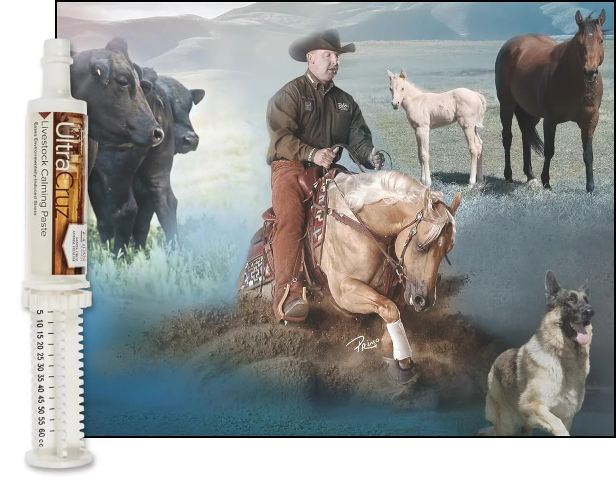 UltraCruz Livestock Calming Supplement, 60 ml, Paste, 6/Pack