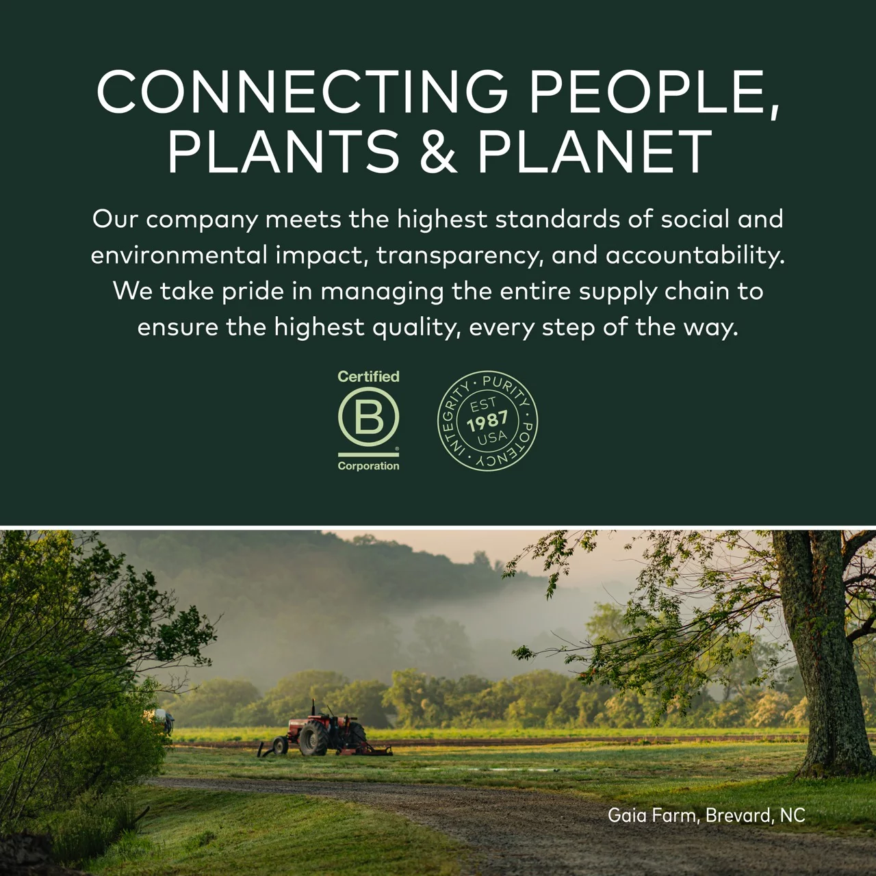 Gaia Herbs Energy Vitality - 60 Vegan Liquid Phyto-Caps (20-Day Supply)