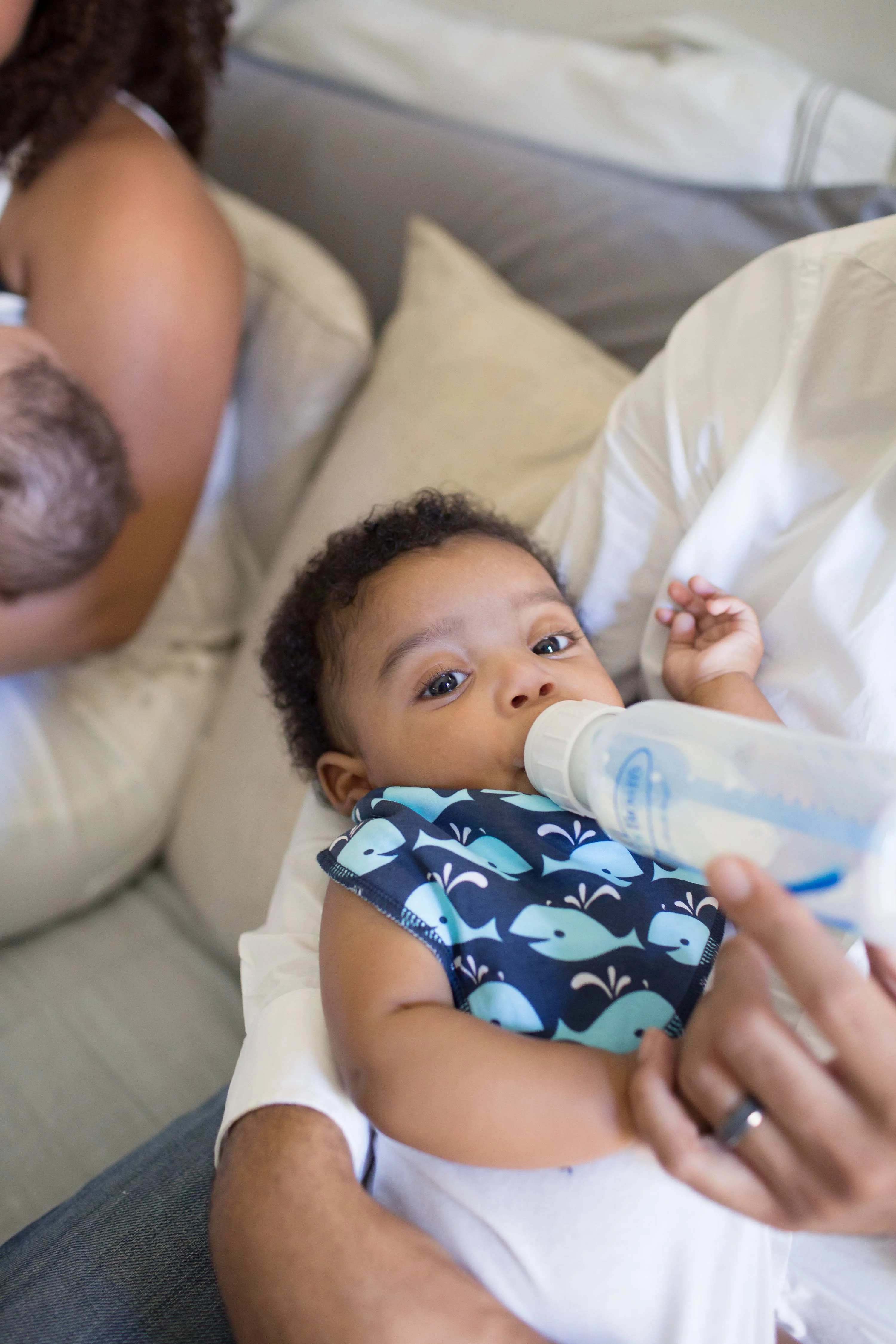 Dr. Brown's Natural Flow Standard Polypropylene Bottle (4 oz) - 3 Pack