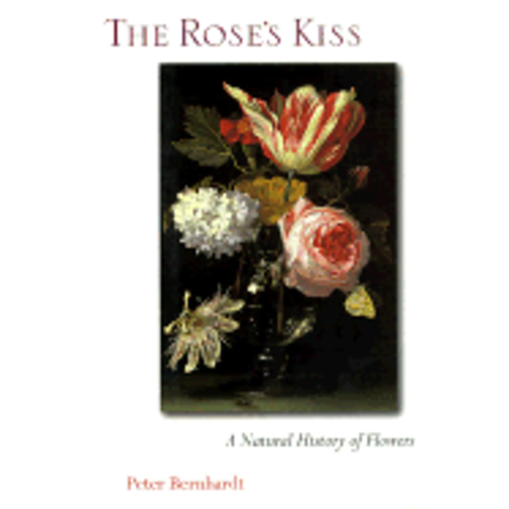 Pre-Owned The Rose's Kiss: A Natural History of Flowers (Hardcover 9781559635646) by Peter Bernhardt