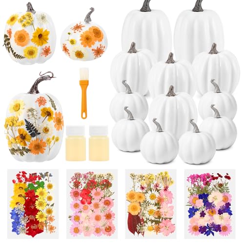 Pinkunn 12 Pcs White Artificial Pumpkin and 140 Pcs Dried Flowers with Glue & Brush Foam Pumpkins DIY Crafts Kit Autumn Decor for Fall Book Club Night, Thanksgiving, Halloween, Weddings