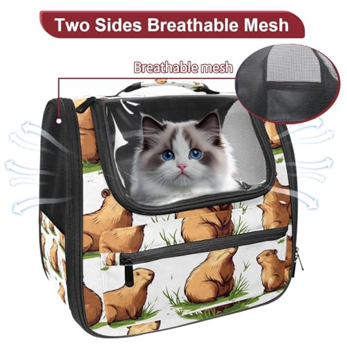 Halloween Pet Carrier Airline Approved Pet Carrier Bag Dog Carrier for Small Medium Cats Dogs Puppies Kitten