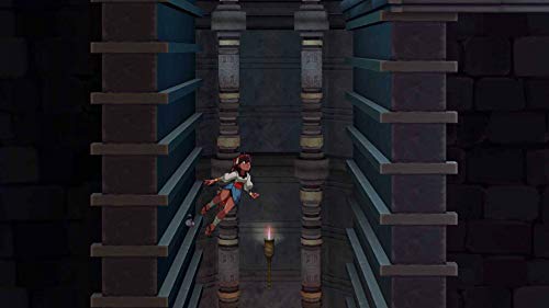 Indivisible - Nintendo Switch