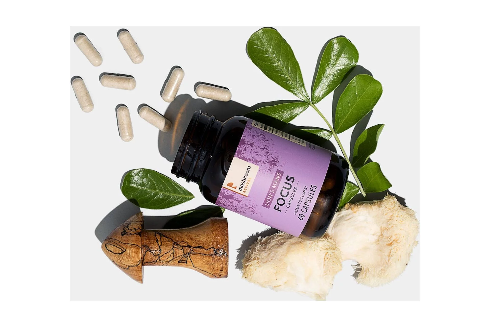 Focus Lion's Mane Capsules
