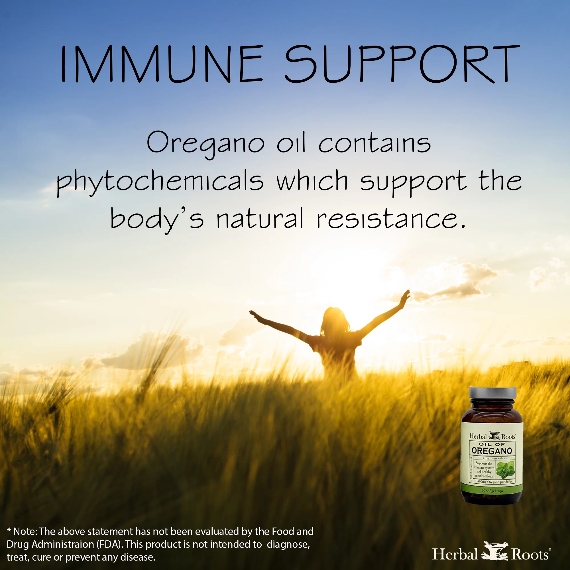 Oil of Oregano Capsules by Herbal Roots | Immune Support| 90 Count Soft Gel Capsules