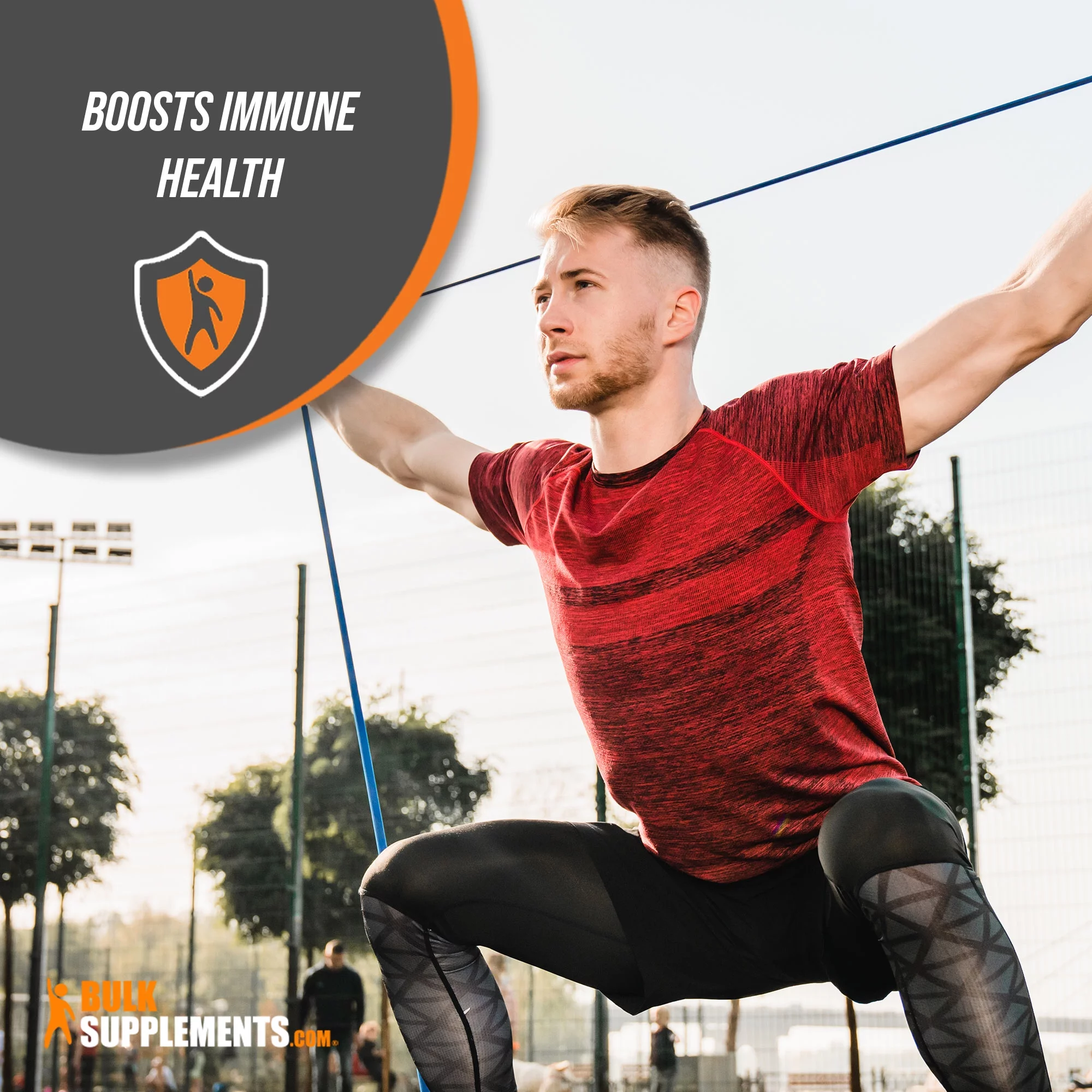 BulkSupplements.com Goji Powder, Goji Berry Powder, Lycium Chinesis Powder, Antioxidant Supplement (1 Kilogram - 2.2 lbs - 1000 Servings)