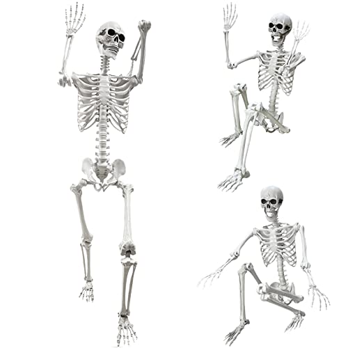 Wocst 5.4Ft Halloween Life Size Human Skeleton with Movable Joints for Halloween Props Decorations
