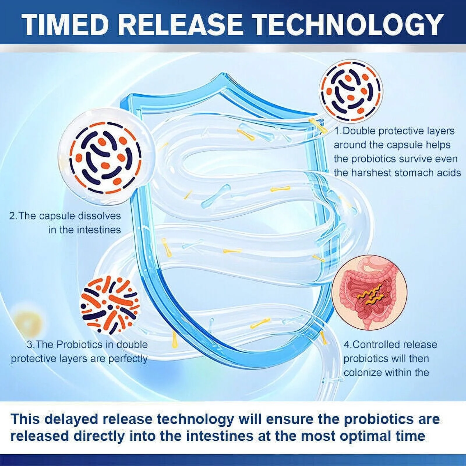 Probiotics CFU Potency Gut Health 120 Capsules