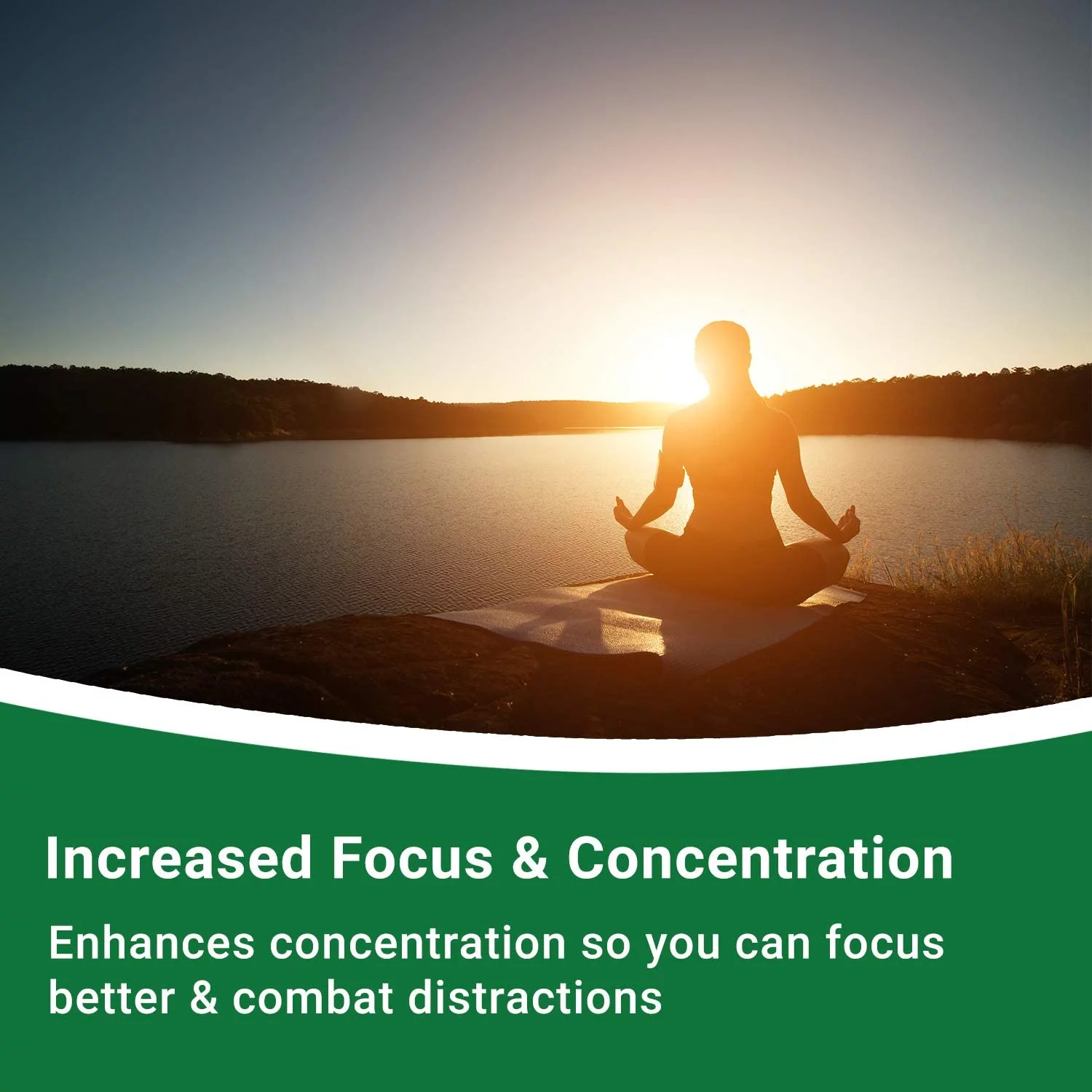 Purisure CDP Choline Powder, 50g, Brain Supplement, Reduces Mental Fatigue, 200 Uses