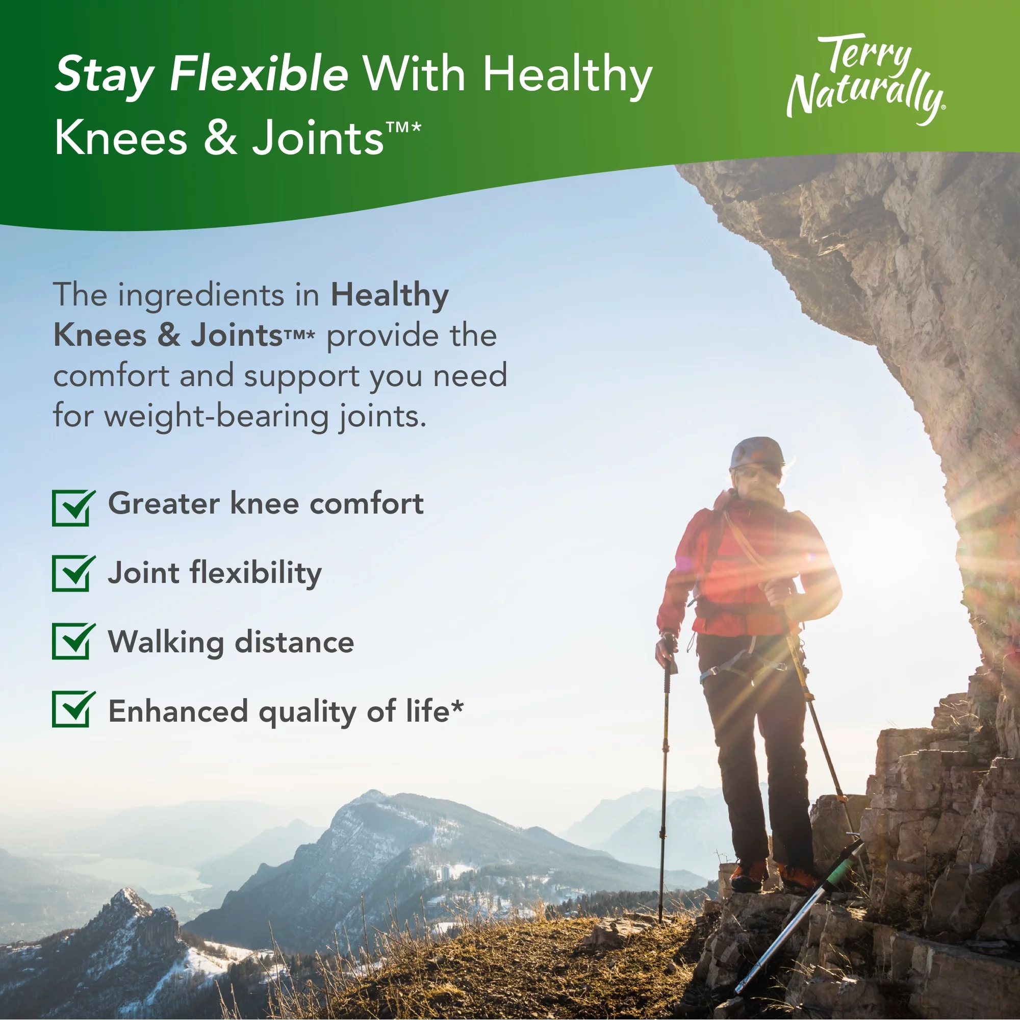 EuroPharma Terry Naturally  Healthy Knees & Joints, 60 ea