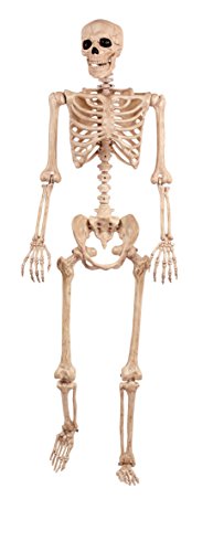 Crazy Bonez Original Pose-N-Stay Halloween Skeleton, 5 FT – Life-Size, Realistic, Fully Poseable Indoor & Outdoor Decoration, Durable Plastic Spooky Prop for Yard, Porch, Haunted House