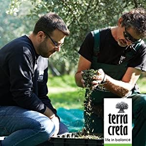 Terra Creta, 100% Koroneiki Variety, Estate Greek Extra Virgin Olive Oil, 3 Ltr (101 Fl.oz) Tin