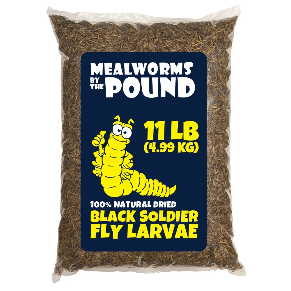 Globally Sourced Dried Black Soldier Fly Larva (11 lbs) - More Calcium Than Mealworms - Treats for Chickens, Wild Birds, & Reptiles