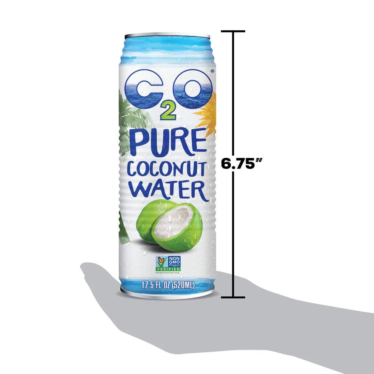 C2O Pure Coconut Water | Plant Based | Non-GMO | No Added Sugar | Essential Electrolytes | 17.5 FL OZ (Pack of 12)