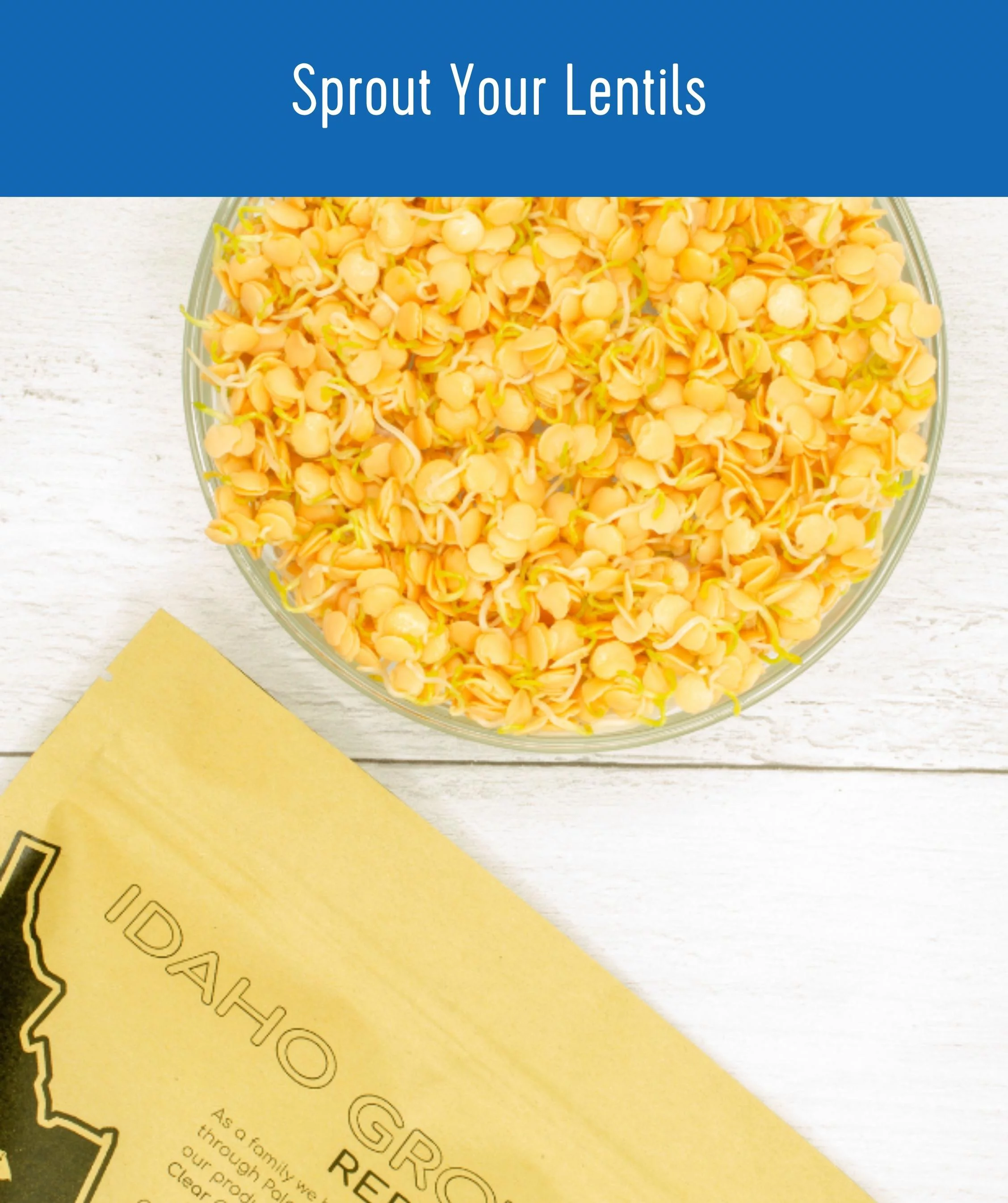 Idaho Red Lentils | 25 lbs | Non-GMO | Kosher | Vegan | Dried