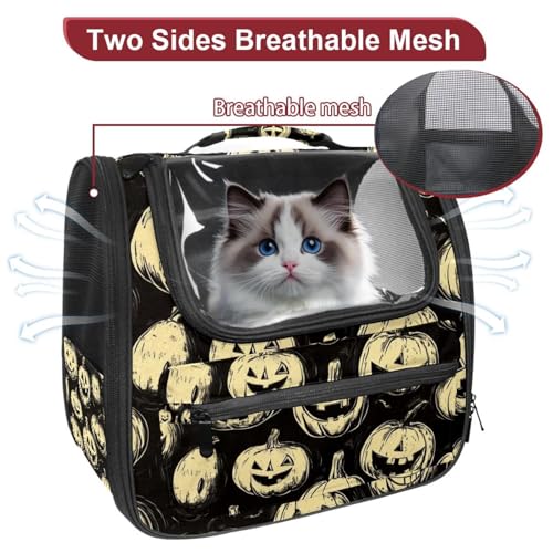 Halloween Pumpkin Pet Travel Carrier | Ventilated Comfortable Design with Safety Features | Ideal for Small to Medium Sized Pets Cats, Dogs etc