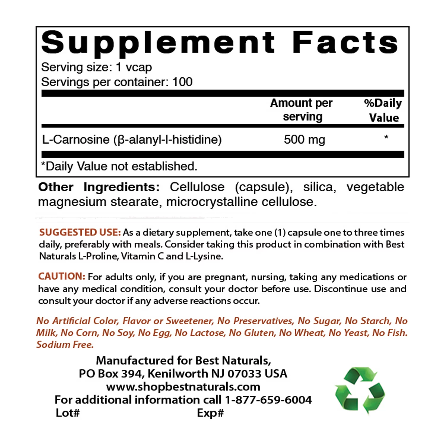 2 Pack Best Naturals L-Carnosine 500 mg 100 Vegetarian Capsules